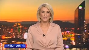 Barrier Absorption Bags (30 pieces)